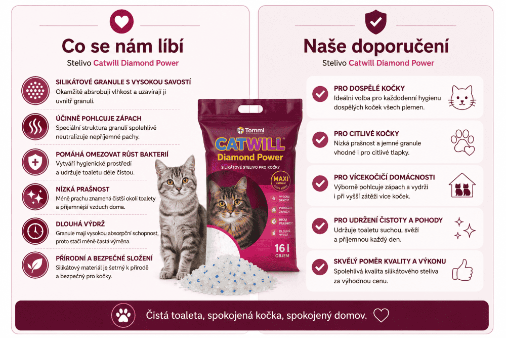 Catwill co se nám líbí
